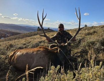 A nonresident Wyoming hunter with his six point trophy bull elk on a hillside